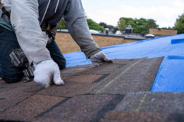 Professional Roofing Contractor in Harlem, GA