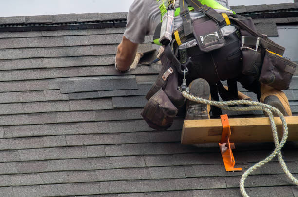 Best Roof Gutter Cleaning  in Harlem, GA