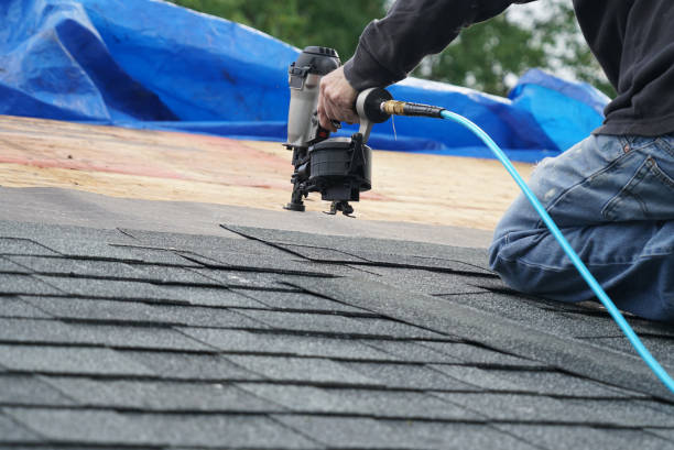 Best Gutter Installation and Roofing  in Harlem, GA